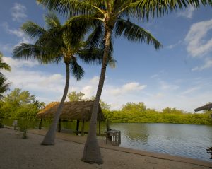 Alternate view of tiki, dock and palms